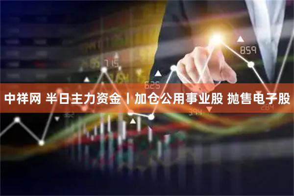 中祥网 半日主力资金丨加仓公用事业股 抛售电子股