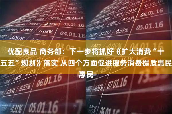 优配良品 商务部：下一步将抓好《扩大消费“十五五”规划》落实 从四个方面促进服务消费提质惠民